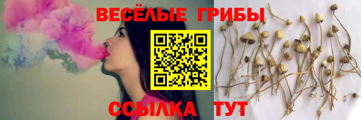 Муром  Псилоцибиновые грибы мухоморы  Вход с VPN 